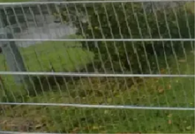 Panelhegn � solidt og moderne hegn i galvaniseret st�l