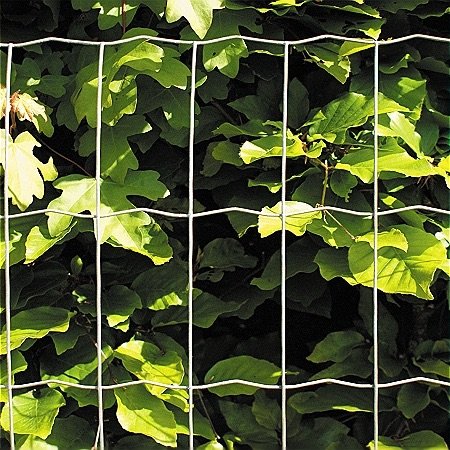 Reng�ring af galvaniseret st�l: S�dan g�r du