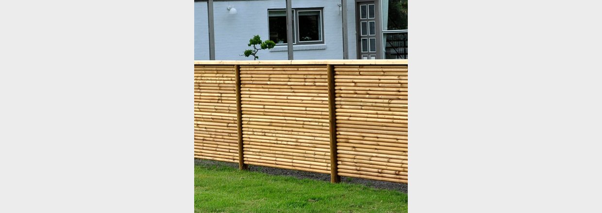 Hegn eller hk | Hvad skal du vlge