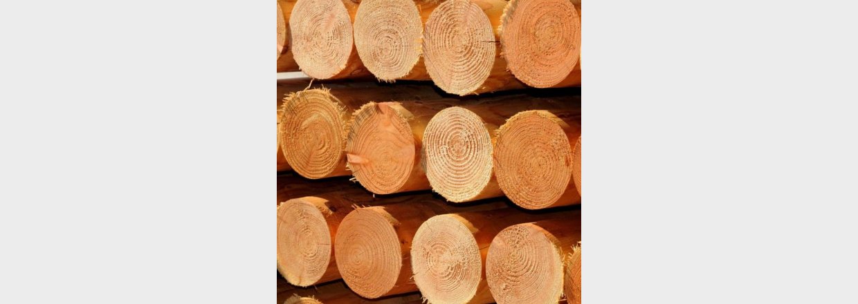 Opstning af stolper til hegn