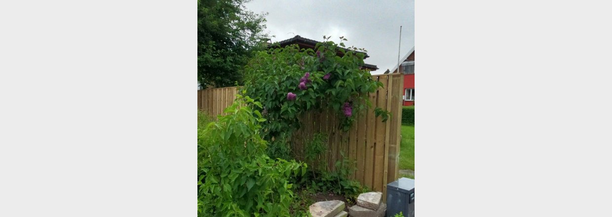 Regler for plankevrk i skel