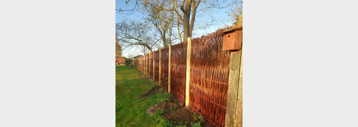 Hvad er et levende hegn?