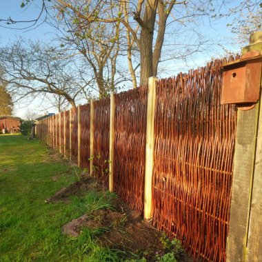 Kraftigt pileflethegn Vojens