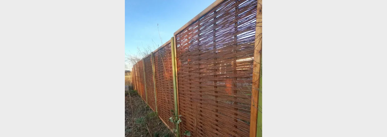 Hvordan opstter man pileflethegn?