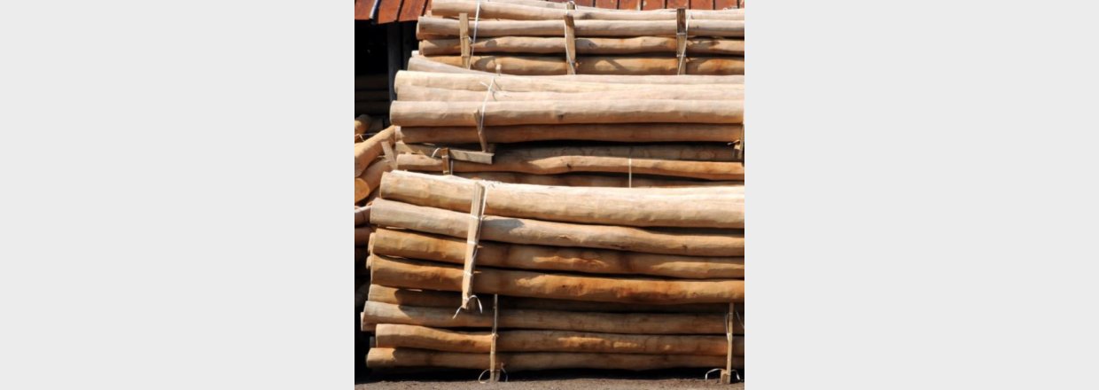 Kvasthegn - alt du skal vide