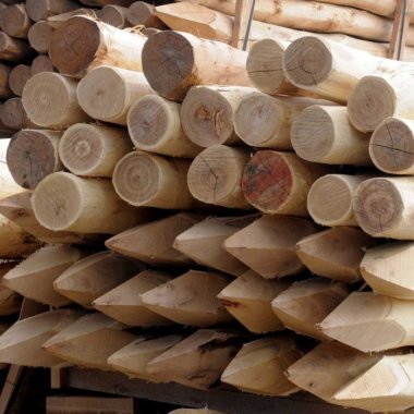 Spidspæle ubehandlet