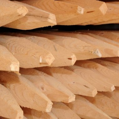 Spidspæle ubehandlet