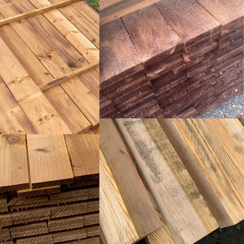 forskellige stadier af tr&aelig;ets udvikling