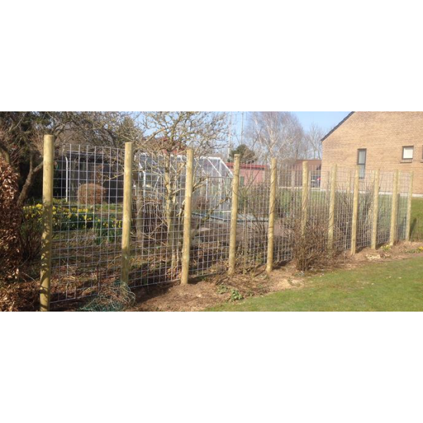 Rionet hegn galvaniseret model "Billund" 90x180cm (HxB)