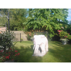 Bravo Panelhegn i sort model "Gilleleje"