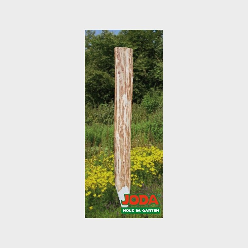 Kastanie stolpe til naturlige forhavehegn 120cm