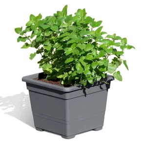 Plastikkasse til hjbede og plantekasser 32x32x26cm