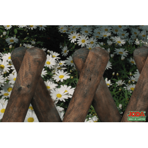 Jgerhegn i brun imprgnering 250x80cm