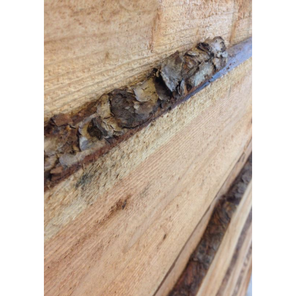 Kalmarbrt i lrketr model "Ikast" 2,5x15/25x250cm (BxHxL)