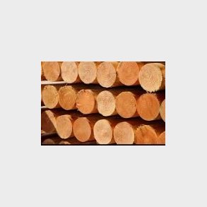 L�rke stolpe �12x300cm