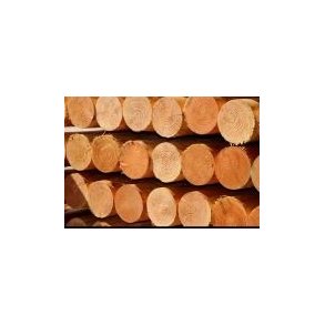 L�rke stolpe �12x300cm