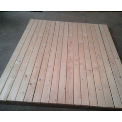 Trgulv til Ida legehus