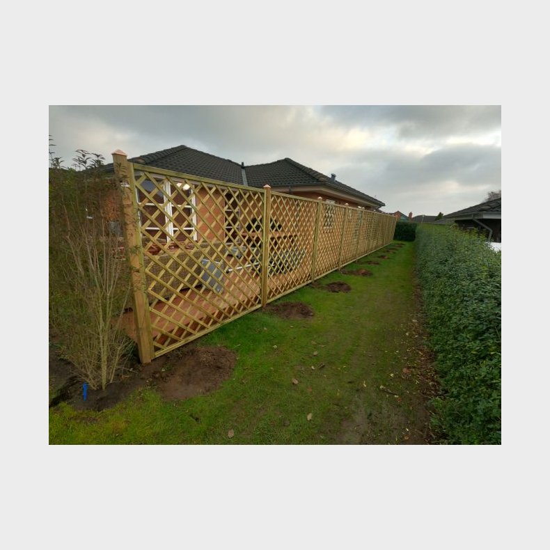 Palma hegn lige 180x180cm (BxH) 7x7cm masker