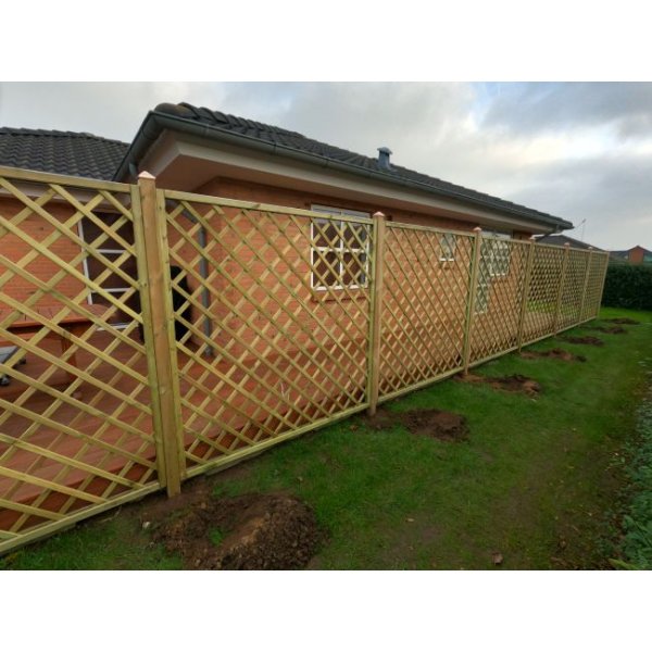 Palma hegn lige 180x180cm (BxH) 7x7cm masker