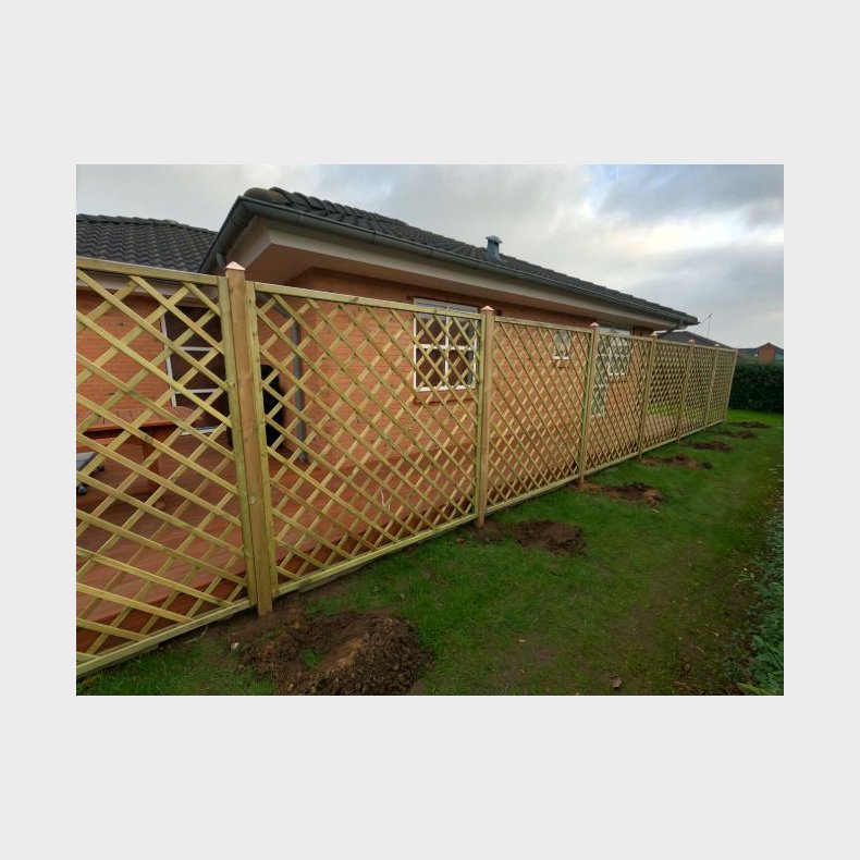 Palma hegn lige 180x180cm (BxH) 7x7cm masker