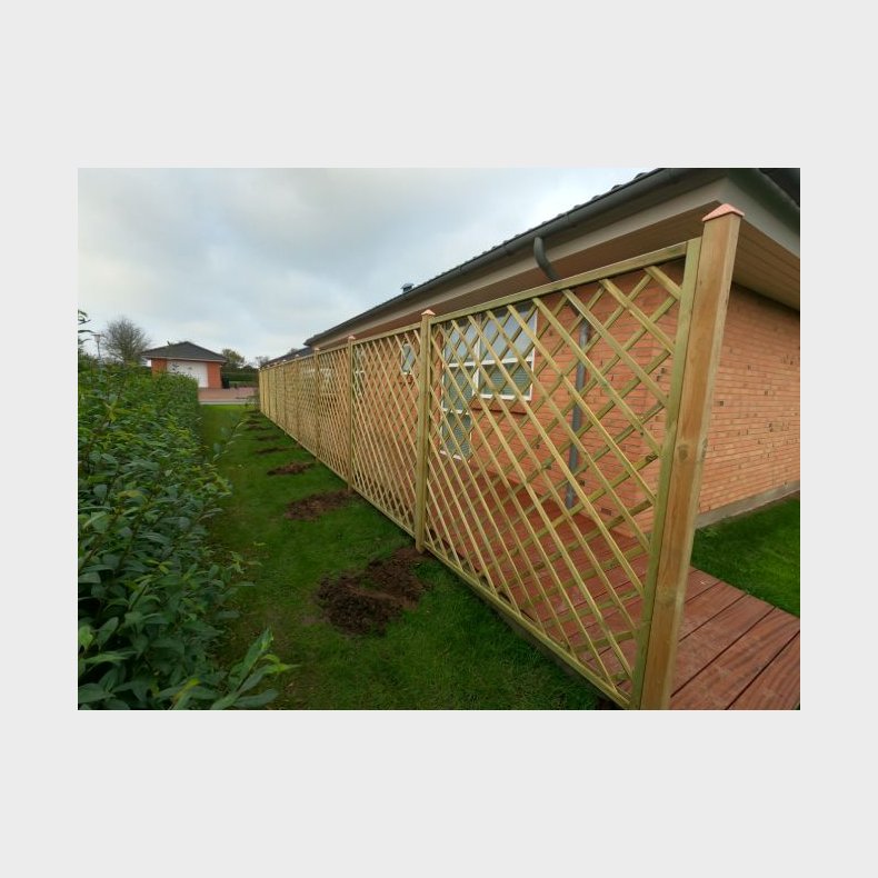 Palma hegn lige 180x180cm (BxH) 7x7cm masker