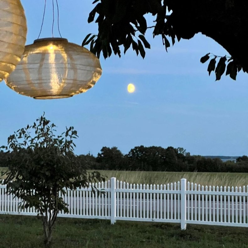 PVC Skagen hegn med bue nedad og smalle stave i 180x120cm