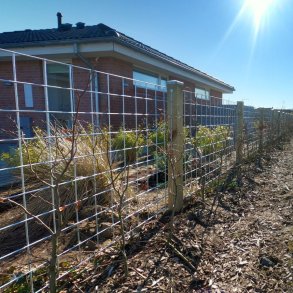 Rionethegn model Billund inkl. trykimprgnerede stolper og tilbehr - Slvklasse