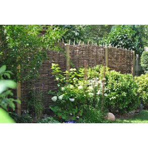 Hassel flethegn kraftig i ubehandlet model 