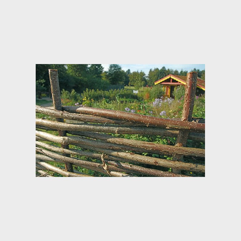 Kraftig hassel flethegn i ubehandlet  180x150cm - model Hadsten