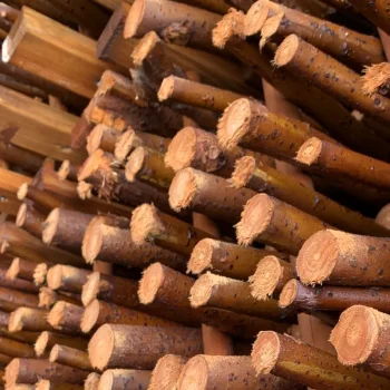 Pileflethegn med kraftig tr�stolper af model Vojens - Guldklasse