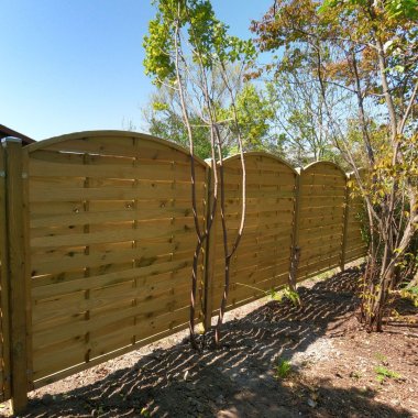 Lamelhegn bue opad uden espalier model Kampen (hegnsmodel)