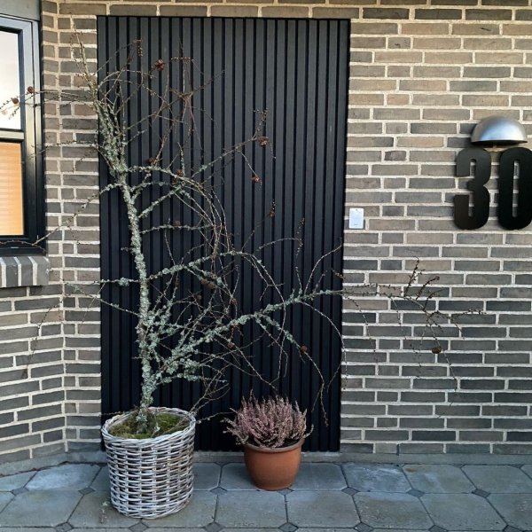 Kompositbekldning 26x219x2900 mm  Lefkas eksklusive facadepaneler