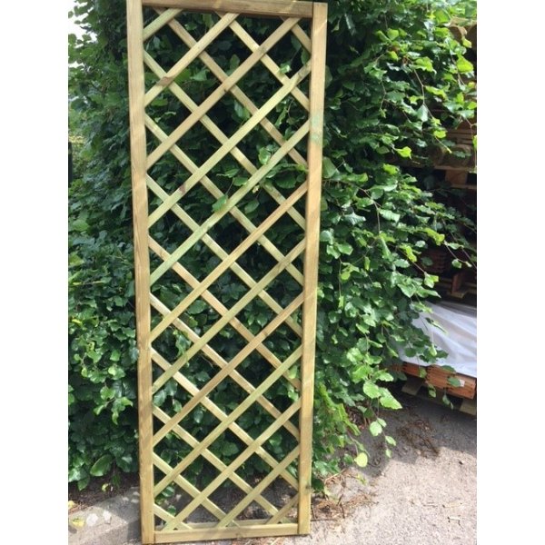 Palma hegn lige 60x180cm (BxH)