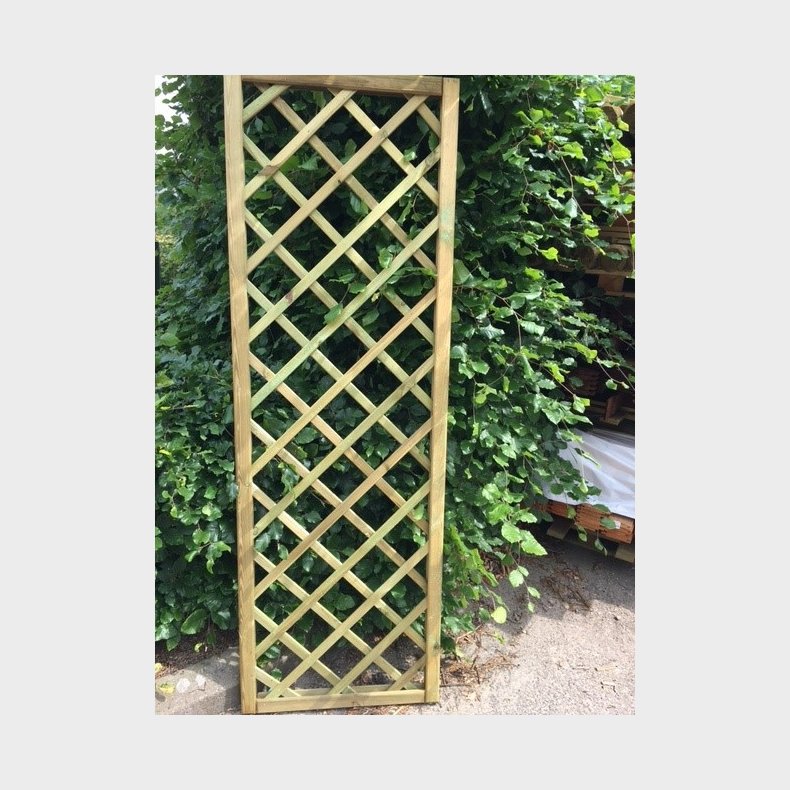 Palma hegn lige 60x180cm (BxH)