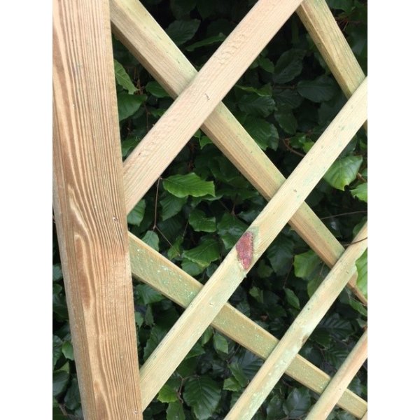 Palma hegn lige 60x180cm (BxH)