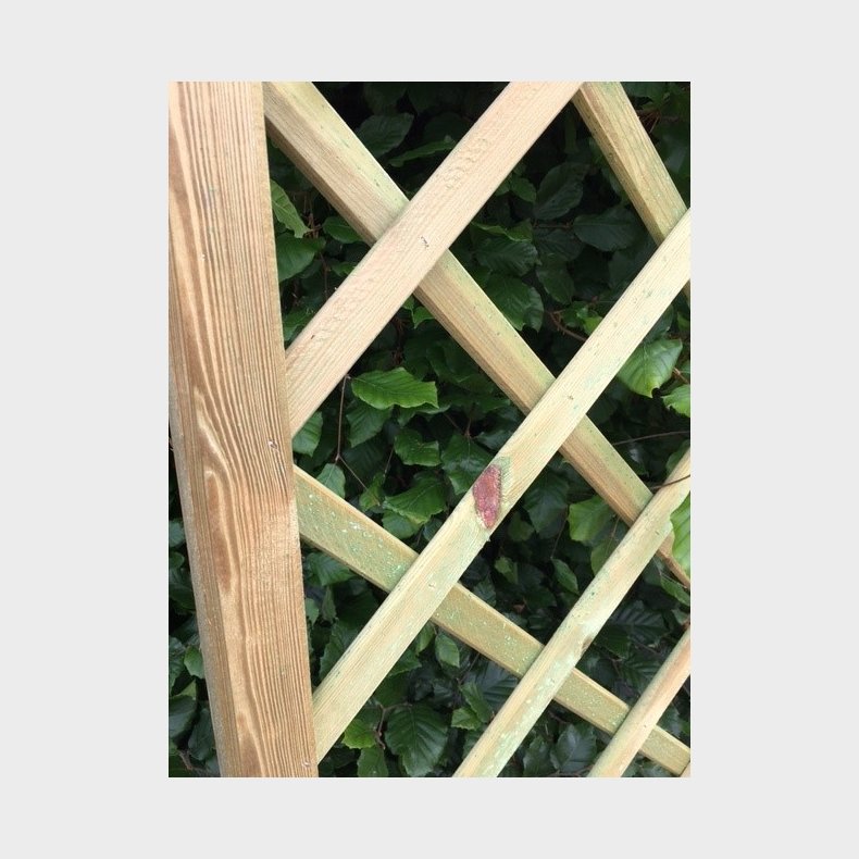 Palma hegn lige 60x180cm (BxH)