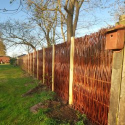 Pileflethegn kraftig model Vojens inkl. trstolper og tilbehr - Guldklasse