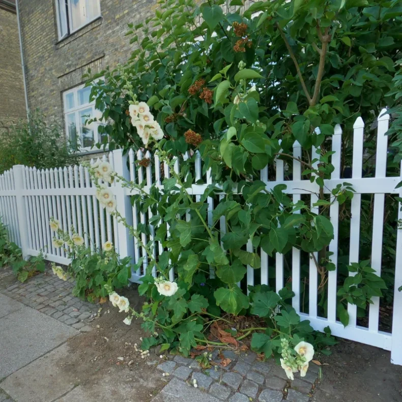 PVC Skagen hegn med bue nedad og smalle stave i 180x150cm