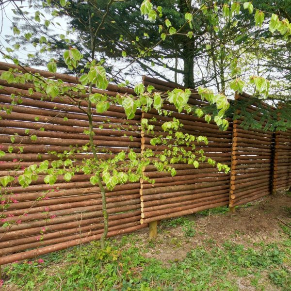 Platinklasse: Raftehegn med bark 5-9cm rafter inkl. ROBINIESTOLPER og tilbehr