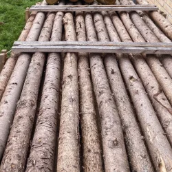 Platinklasse: 5-9cm rafter med bark i lngde 220cm (150 stk.)