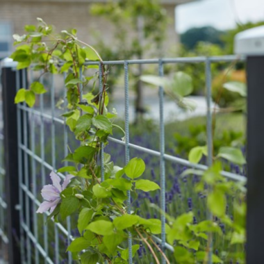 Rionet 10x10cm masker med sorte stolper (hegnsmodel)