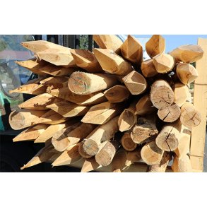 Robinie stolpe 8-10x150cm