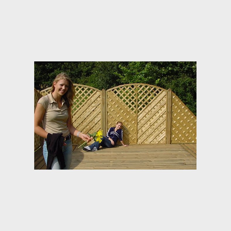 Lamelhegn med bue og espalier 150x180/161 - model Saragossa