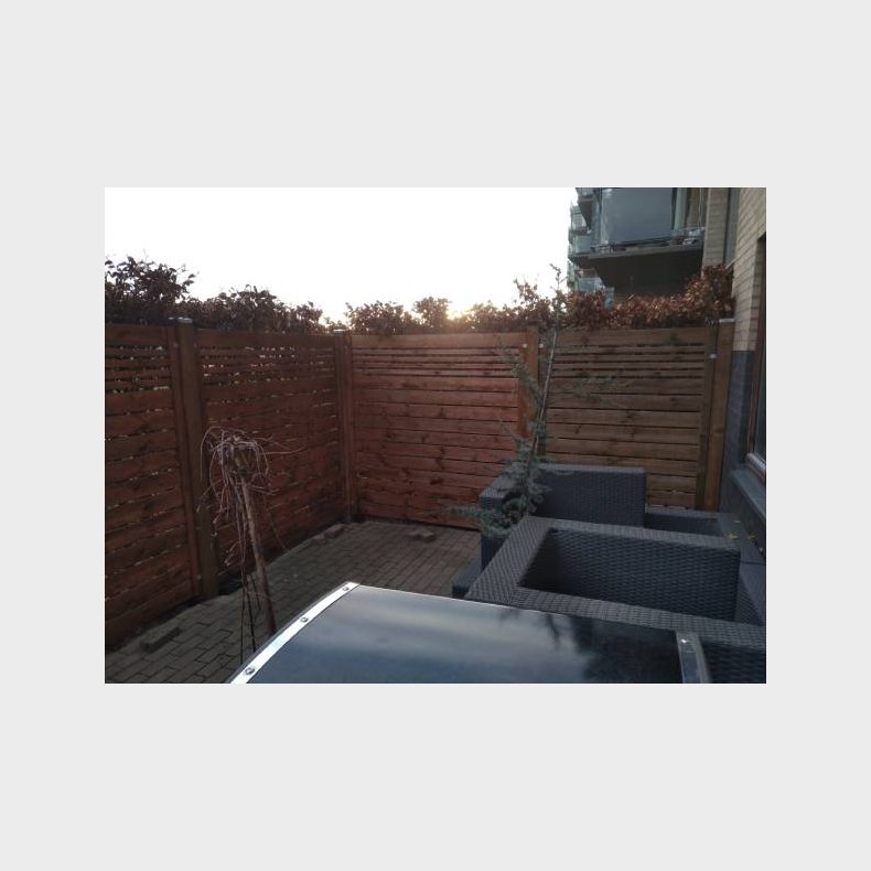 Sina hegn i brun 180x180cm (BxH)