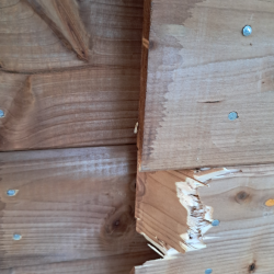 Outlet Noa redskabsskur i trykimpr�gneret tr� 9m2: Platinklasse (2 skader p� v�gpanel og 1 br�t)