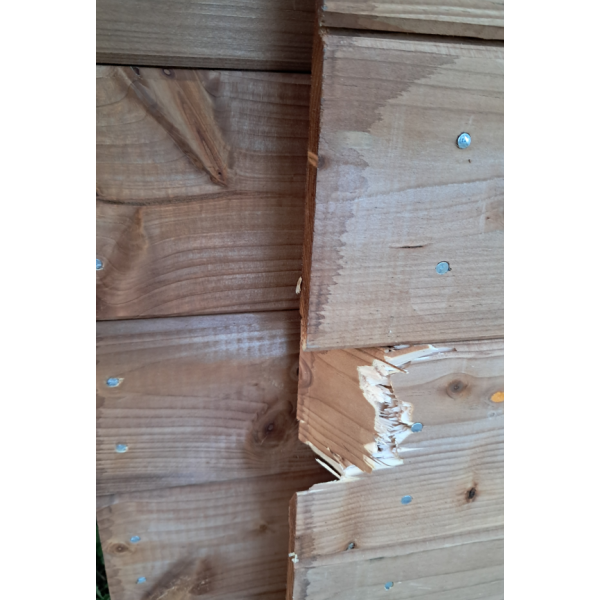 Outlet Noa redskabsskur i trykimpr�gneret tr� 9m2: Platinklasse (2 skader p� v�gpanel og 1 br�t)