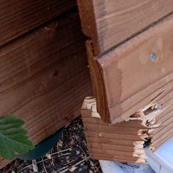Outlet Noa redskabsskur i trykimpr�gneret tr� 9m2: Platinklasse (2 skader p� v�gpanel og 1 br�t)