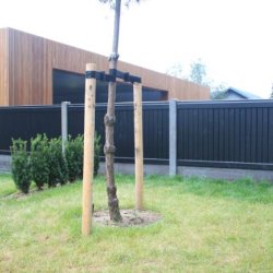 Lgtehegn trykimp. gran. sortmalet 189x120cm (150cm over jord)