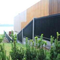 Lgtehegn trykimp. gran. sortmalet 189x120cm (150cm over jord)