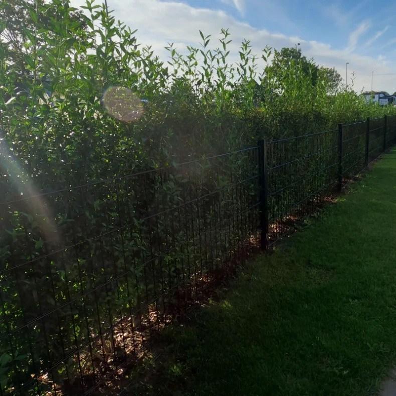 Viby 2D Panelhegn med metalstolper - Slvklasse